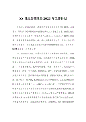 XX县应急管理局2023年工作计划.docx
