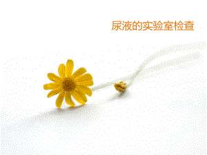 尿液的实验室检查.ppt