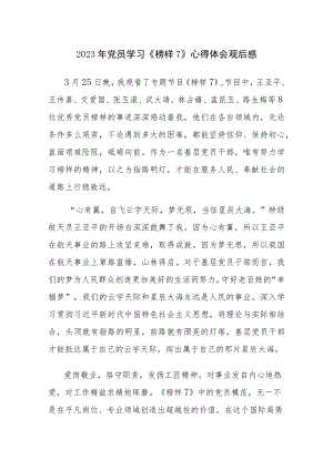 2023年党员学习《榜样7》心得体会观后感5篇范文（九）.docx
