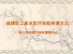 城镇职工基本医疗保险待遇支出.ppt