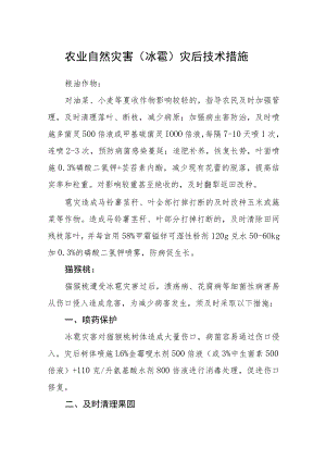 农业自然灾害（冰雹）灾后技术措施.docx