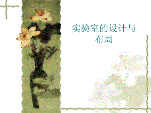 实验室的设计与布局资料.ppt