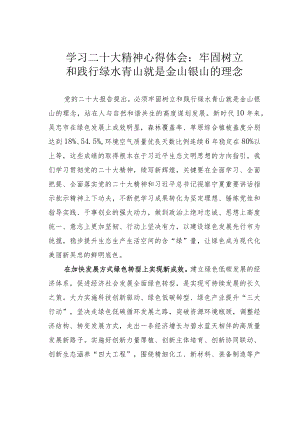 学习二十大精神心得体会：牢固树立和践行绿水青山就是金山银山的理念.docx