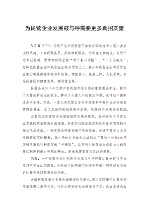 为民营企业发展鼓与呼需要更多真招实策.docx