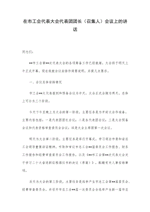 在市工会代表大会代表团团长（召集人）会议上的讲话.docx