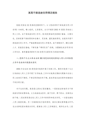 某局干部选拔任用情况报告.docx