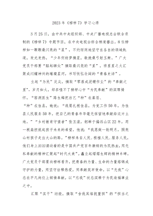 观看2023年央视《榜样7》观后感心得体会感悟范文5篇.docx