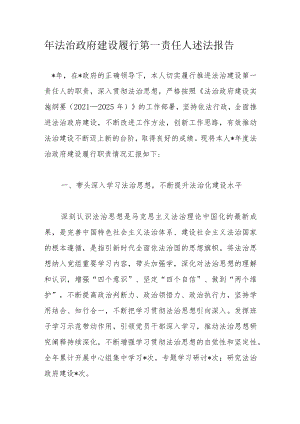年法治政府建设履行第一责任人述法报告.docx