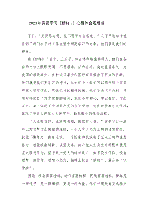 2023年党员学习《榜样7》心得体会观后感6篇参考范文（九）.docx