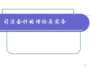 司法会计的理论与实务.ppt