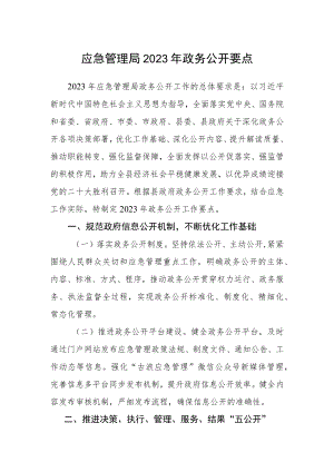 应急管理局2023年政务公开要点.docx