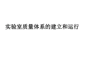 实验室质量体系的建立.ppt