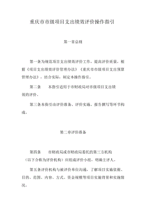 重庆市市级项目支出绩效评价操作指引.docx