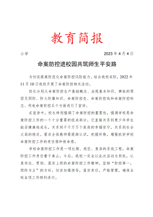 命案防控活动简报.docx