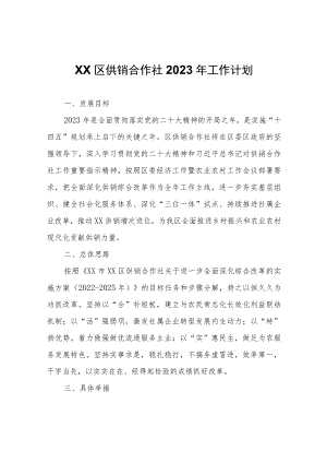 XX区供销合作社2023年工作计划.docx