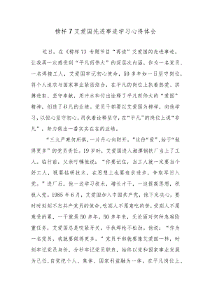 榜样7艾爱国先进事迹学习心得体会.docx