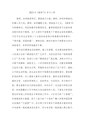 5篇2023年观看央视《榜样7》观后感心得体会范文参考.docx