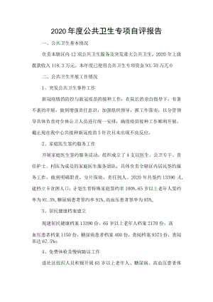 2020年度公共卫生专项自评报告.docx