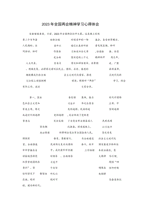 2023年全国两会精神学习心得体会.docx