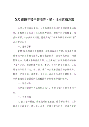 XX街道年轻干部培养“星”计划实施方案.docx