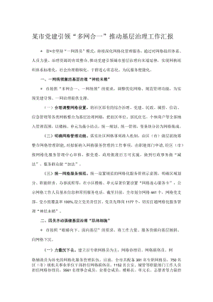 某市党建引领“多网合一”推动基层治理工作汇报.docx