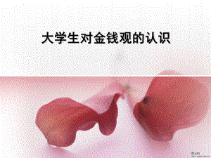 大学生对金钱观的认识.ppt