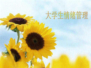 大学生情绪管理.ppt
