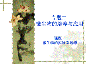微生物的实验室培养(一轮).ppt