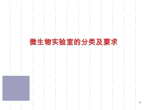 微生物实验室的分类及要求.ppt