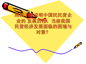 民营经济的发展.ppt