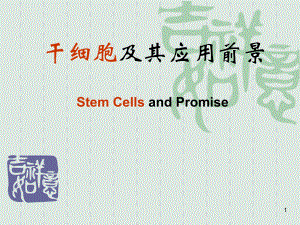 研究生干细胞.ppt
