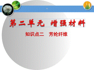 知识点三芳纶纤维.ppt