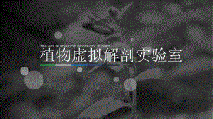 植物解剖虚拟实验室.ppt