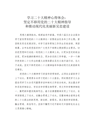 学习二十大精神心得体会：坚定不移用党的二十大精神指导和推动现代化美丽新吴忠建设.docx