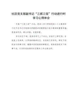 社区党支部副书记“三抓三促”行动进行时学习心得体会.docx