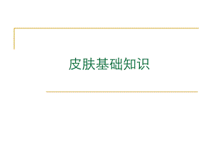 皮肤基础知识.ppt
