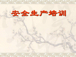 电力安全培训课件.ppt