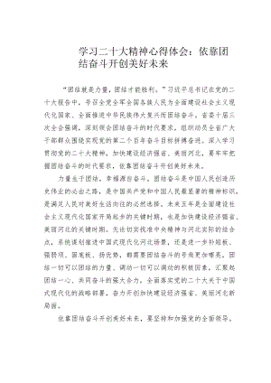 学习二十大精神心得体会：依靠团结奋斗开创美好未来.docx