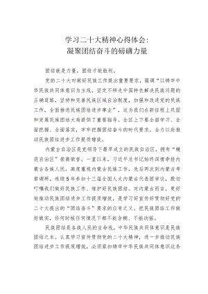 学习二十大精神心得体会：凝聚团结奋斗的磅礴力量.docx