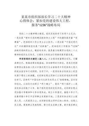 某某市组织部部长学习二十大精神心得体会：紧扣党的建设伟大工程服务“1236”战略布局.docx