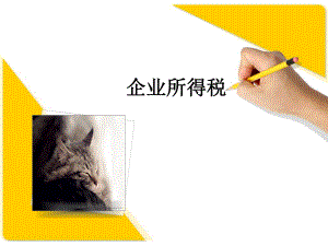 最新版企业所得税PPT.ppt