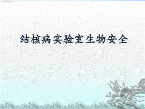 结核病实验室生物安全.ppt