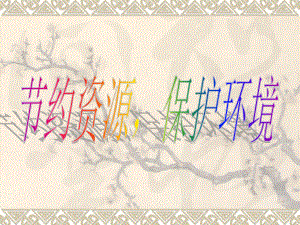 节约资源保护环境.ppt