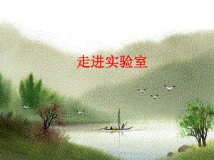 走进实验室ppt课件.ppt
