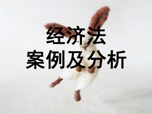 经济法案例及分析.ppt