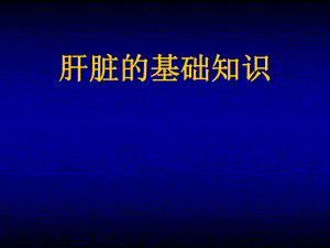 肝脏的基础知识.ppt