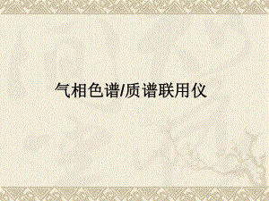 质谱技术与质谱仪研究生课程.ppt