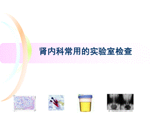 肾内科常用实验室检查.ppt