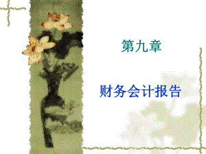 财务会计报告.ppt