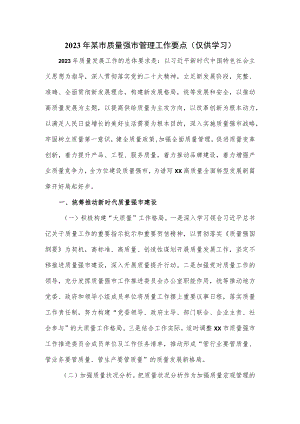 2023年某市质量强市管理工作要点.docx